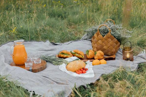 Piknik Természetben Nyugi Szendvicsek Croissant Narancslé Decanterben — Stock Fotó