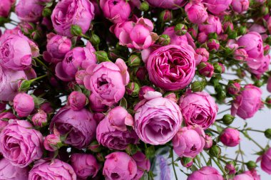 Çiçekler pembe güller. Buket. Beyaz bir arka planda. Çiçeklerin arkaplan dokusu