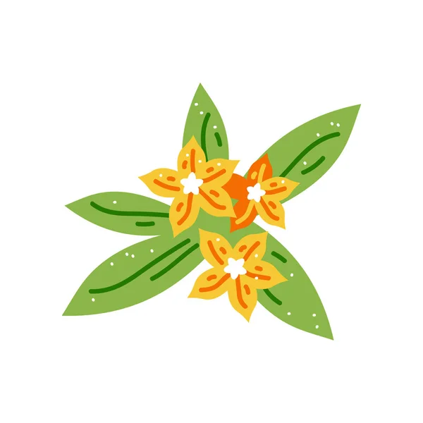 在白色背景上分离的病媒中的亚洲花朵 春花的象征或象征 涂鸦素描 — 图库矢量图片