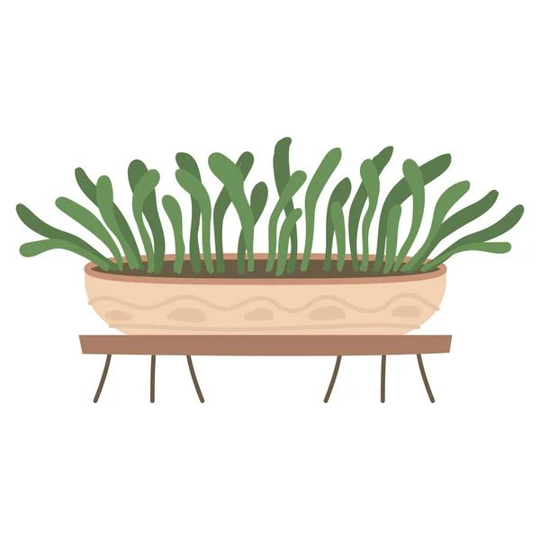 Plant Hanging Pot Houseplant Hang Rope Decorative Indoor Plant Macrame — Stock Vector