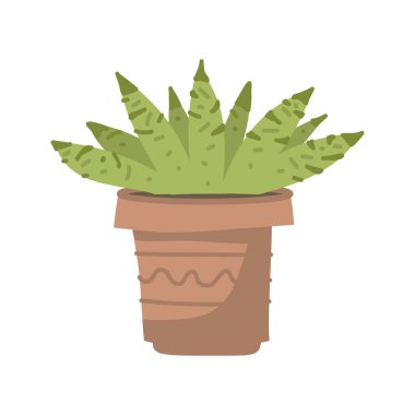 cute cacti and succulent in pot on white background. Vector illustration. Flower in pots on stands. Home jungle