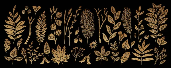 Set Golden Autumn Leaves Beries Herbs Ink Drawn Illustration Vector — Stock Vector