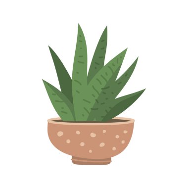 cute cacti and succulent in pot on white background. Vector illustration. Flower in pots on stands. Home jungle