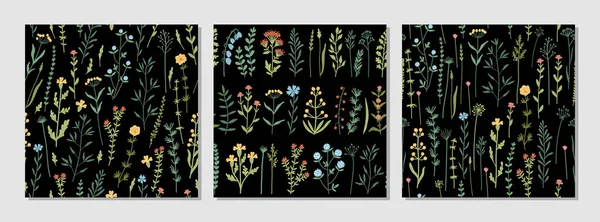 Increíble Conjunto Patrones Sin Costura Vector Floral Flores Colores Brillantes — Archivo Imágenes Vectoriales