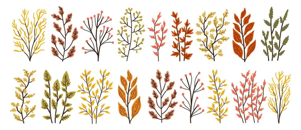 秋の葉と果実 手描きの秋の森の葉セット 白地に隔離されてる フラットなスタイルで漫画の葉のコレクション ベクターイラスト — ストックベクタ