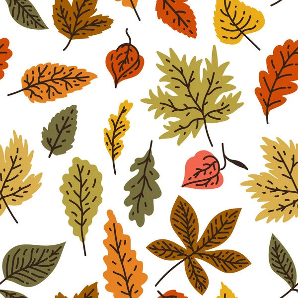 Outono Sem Costura Padrão Com Diferentes Folhas Plantas Cores Sazonais — Vetor de Stock