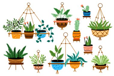 Saksı bitkileri. Ev bitkileri, saksılar, sepetler, saksılar. Ev içi yeşil dekor. Farklı sulular, kaktüsler, yapraklar. Düz grafik vektörü