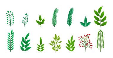 Bir dizi izole noel element tasarımı bırakır 