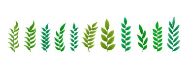 Xmas dekorasyonu için gerçekçi çam yaprakları koleksiyonu