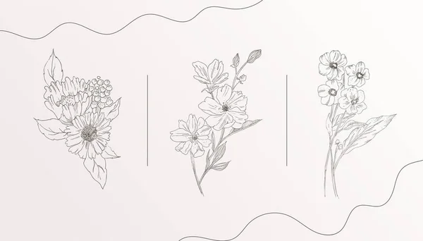 Banner Design Floral Orgânico Desenhado Mão Abstrata Vetor Pack — Vetor de Stock