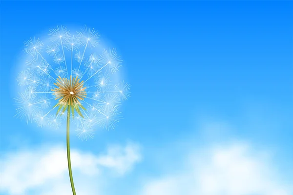 Realistic Dandelion Flower Seeds Blue Background Clouds — Stock Vector