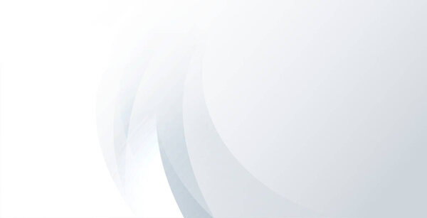 abstract white and grey curvy banner with blank space vector