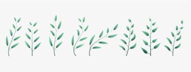 Paket vektöründe elle boyanmış bitkisel yapraklar element arkaplanı