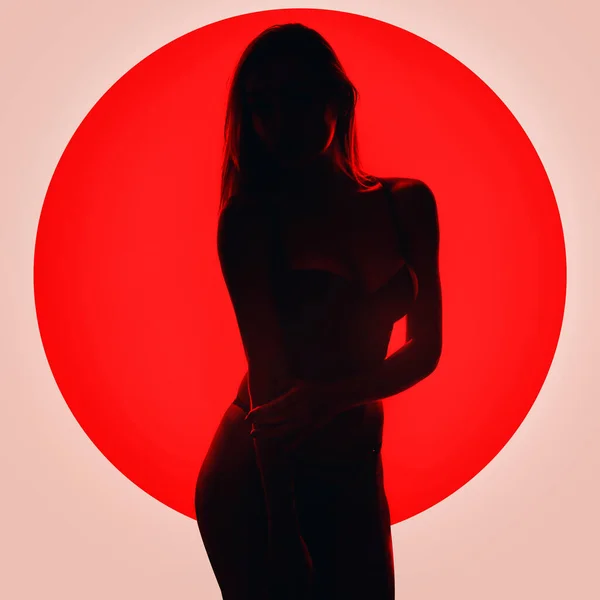 时尚艺术工作室的轮廓优雅的裸体女士与阴影在她的身体 — 图库照片