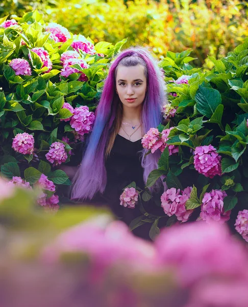 Young woman is surrounded by pink and violet hydrangea flowers. Beautiful model with a long colorful violet hair enjoying blooming hydrangeas flowers in garden