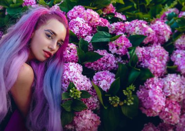 Genç kadın pembe ve menekşe ortanca çiçekleriyle çevrili. Bahçedeki çiçek açan ortancaların üzerine uzanan uzun mor saçlı güzel bir manken.