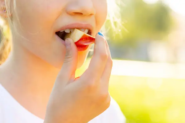Close up of mouth eating food in public. Kid girl holding and bites peach or nectarine slices. Picnic concept