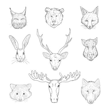 Sketch Forest Animals Heads 'in Vektör Kümesi. Ön Görünüm.