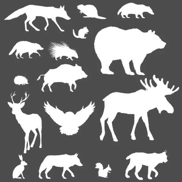 Vektorová Bílá Silueta Sada Lesních Zvířat Sbírka Ilustrací Divokých Savců — Stockový vektor