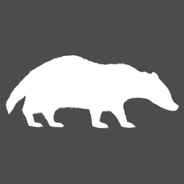 バッジャーの白いシルエット 野生動物イラスト — ストックベクタ