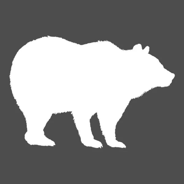 灰熊在黑暗背景下的矢量白轮廓 — 图库矢量图片