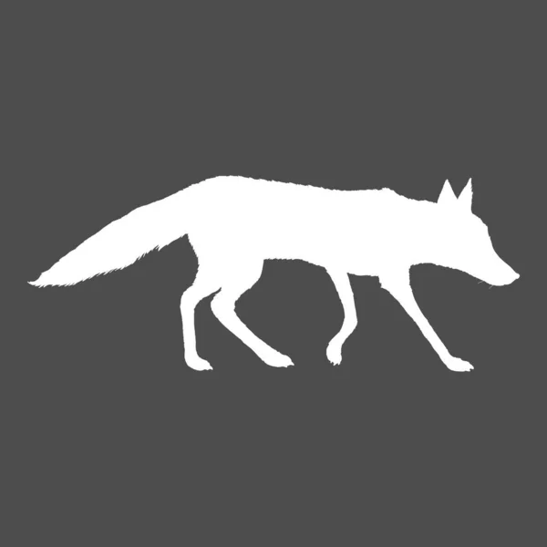 Witte Silhouet Walking Fox Zijaanzicht Vector Illustratie — Stockvector