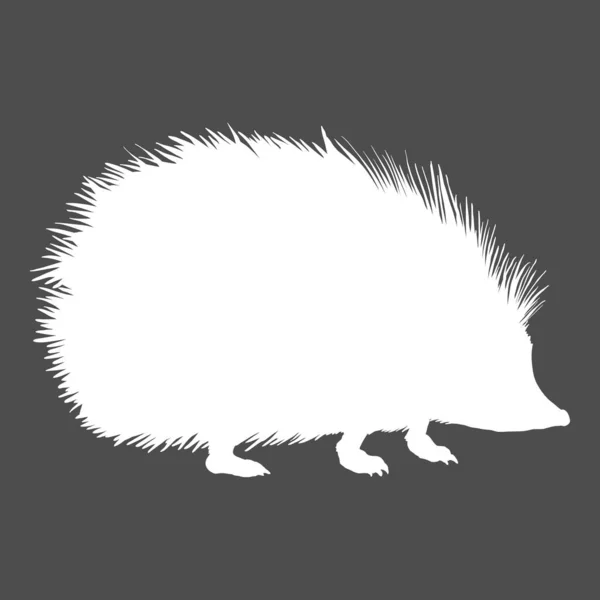 Hedgehog Silueta Blanca Vector Ilustración Sobre Fondo Oscuro — Archivo Imágenes Vectoriales