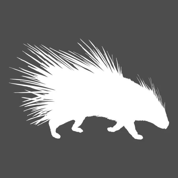 Vector White Silhouette Porcupine — Stock Vector