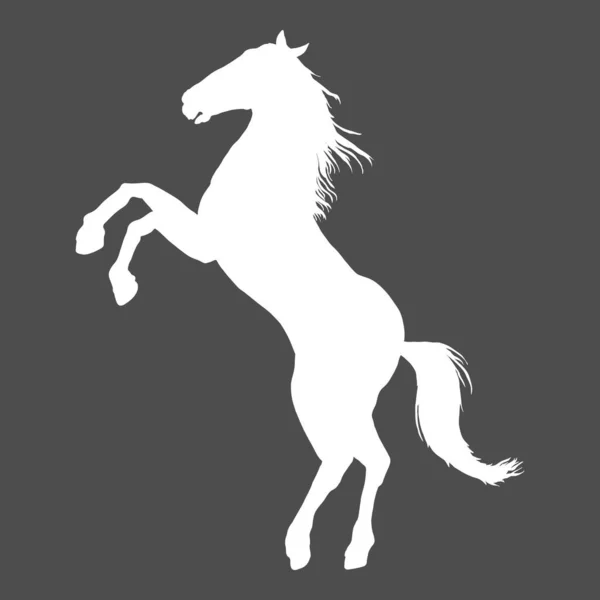 Vector White Silhouette Rearing Horse Illustration — Stock Vector