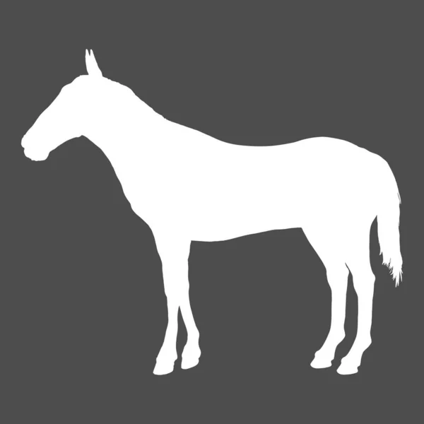 Vector White Silhouette Standing Horse — Stock Vector