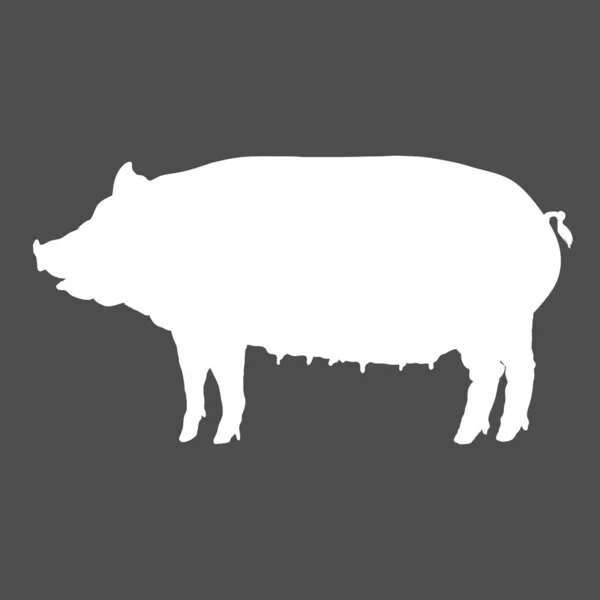 Vector White Silhouette Huge Pig Ombra Suini — Vettoriale Stock