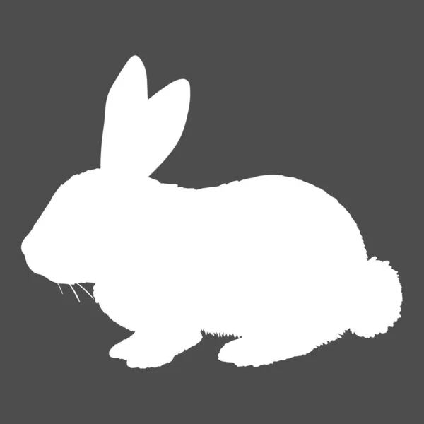 ウサギのイラストのベクトルホワイトシルエット — ストックベクタ