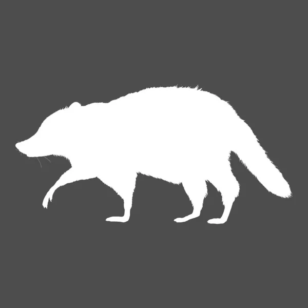 Raccoon White Silhouette Chodzenie Czarnym Tle Widok Boku Ilustracja — Wektor stockowy