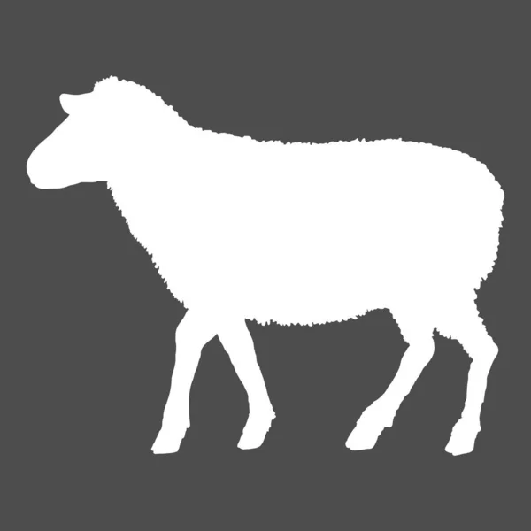 Vector White Silhouette Sheep Illustration Seitenansicht — Stockvektor
