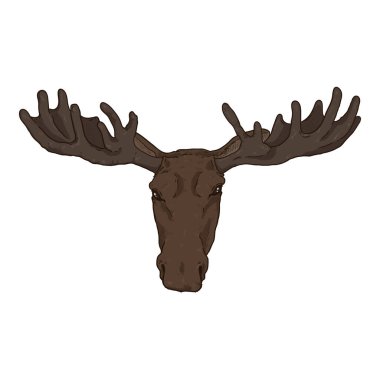 Vektör Karikatür Moose Head Illustration. Ön Görünüm.