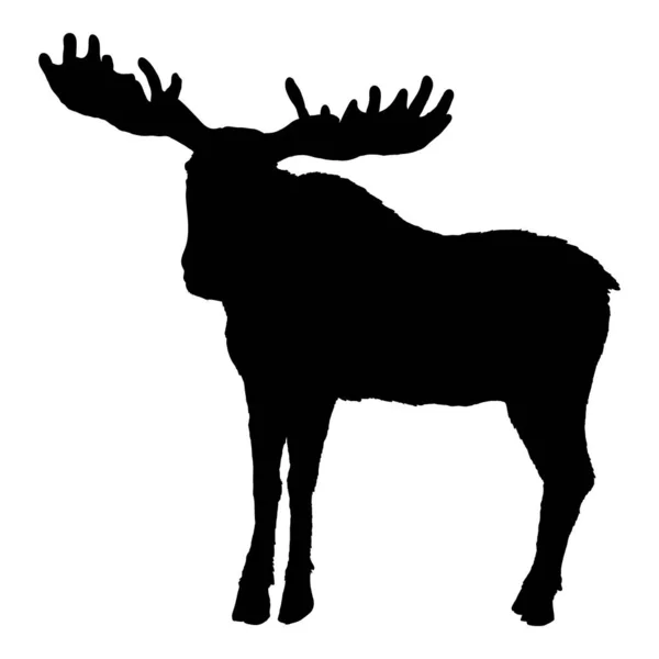 Moose Silhouette Black Elk Shade Vector Image — Stock Vector