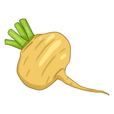 Vektör Çizgi Filmi Sarı Şalgam