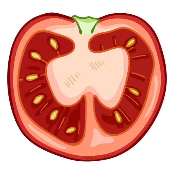 Vector Cartoon Half Gesneden Rode Tomaat — Stockvector
