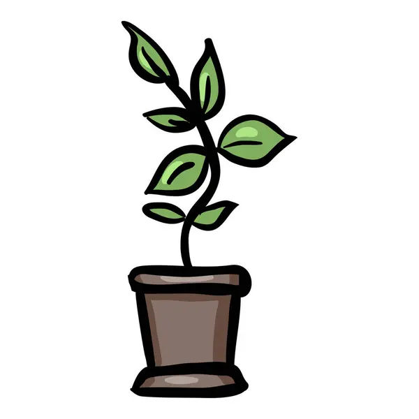 Home Plant Hand Drawn Doodle Icon — Stock Vector