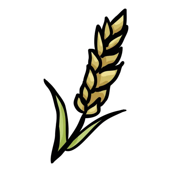 Pšeničná Špička Ručně Kreslené Doodle Ikona Stock Vektory