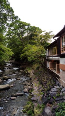 Izu, Japonya - 18 Mayıs 2024. Nehir ve Ormanın Yakınındaki Eski Japon Evleri