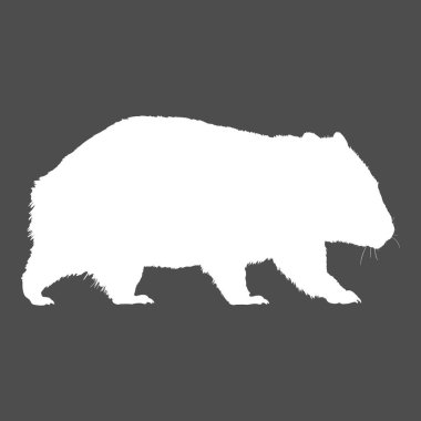 Wombat Beyaz Siluet Tüm Vücut Resimleri