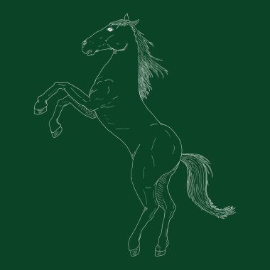 Vector Chalk Sketch Rearing Horse clipart