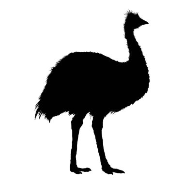 Vektör Emu Black Silhouette. Tüm Vücut Resimleri