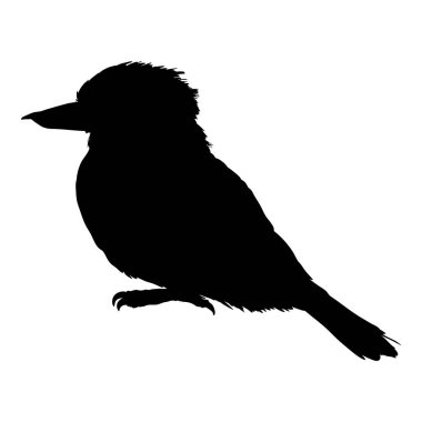 Gülen Yookaburra 'nın Siyah Silueti. Vector Australian Bird Full Body Illustration