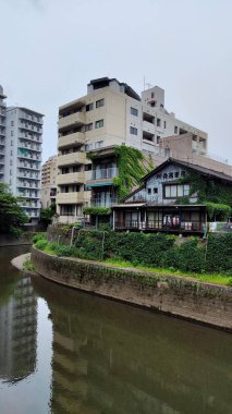 Kumamoto, Japonya - 19 Mayıs 2025. Şehrin göbeğinde yapraklar ve yosunlarla kaplanmış gizemli eski ahşap bir ev.