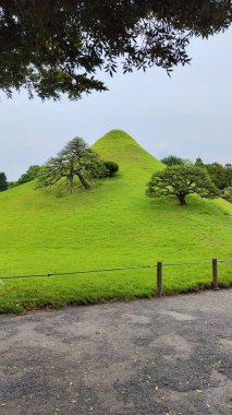 Kumamoto, Japonya - 19 Mayıs 2025. Suzenji Parkı 'ndaki Fuji Tsukiyama. Güzel Peyzaj Tasarımı