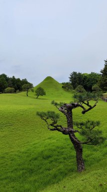 Kumamoto, Japonya - 19 Mayıs 2025. Suzenji Parkı 'ndaki Fuji Tsukiyama. Güzel Peyzaj Tasarımı