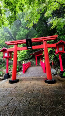 Beppu, Japonya - 24 Mayıs 2025. Kızıl Torii, Umi Jigoku Parkı 'ndaki tapınağın önünde.