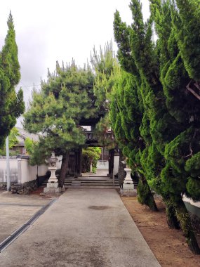 Nakatsu, Japonya - 25 Mayıs 2025. Honden Budist Tapınağına Giriş